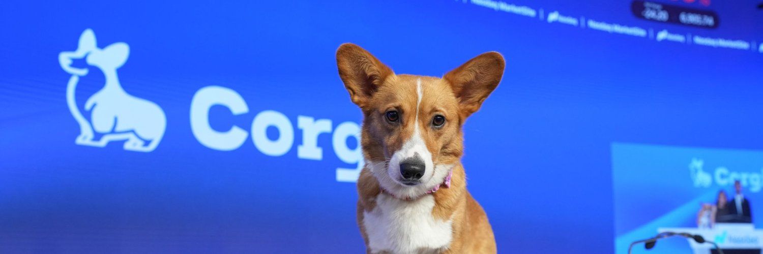 Corgi