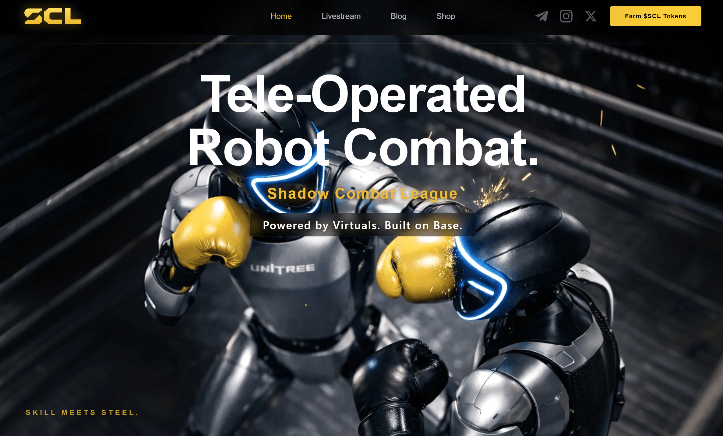 Shadow Combat League